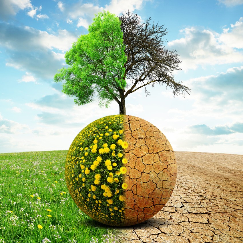 EquiLead Workshop Recap: Empowering Women to Shatter the Green Ceiling